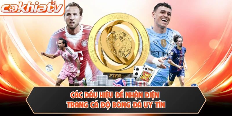 Các dấu hiệu để nhận diện trang cá độ bóng đá uy tín