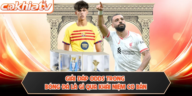 Giải đáp Odds trong bóng đá là gì qua khái niệm cơ bản 