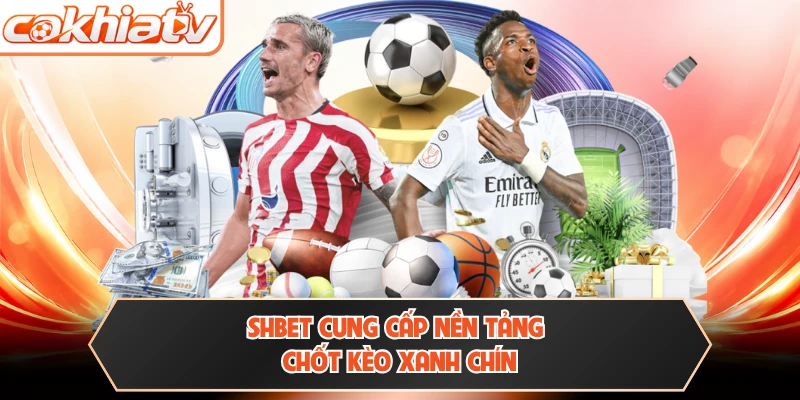 SHBET cung cấp nền tảng chốt kèo xanh chín