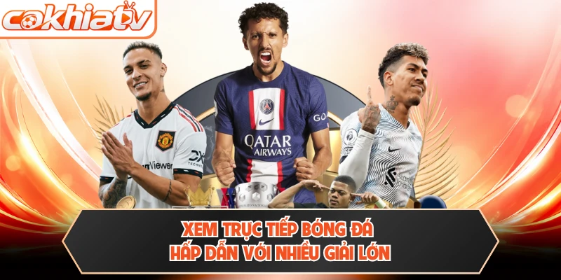 Xem trực tiếp bóng đá hấp dẫn với nhiều giải lớn